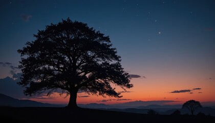 Silhouette of a large tree against a colorful sunset sky with stars and distant mountains view scene