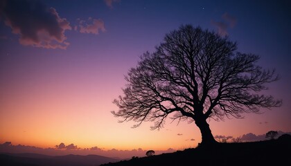 Silhouette of a bare tree against a vibrant sunset sky with clouds and distant mountains landscape