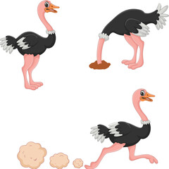 Obraz premium set of funny cartoon birds