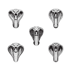 BLACK AND WHITE VECTOR GRAPHICS OF AN ANGRY COBRA HEAD DESIGN