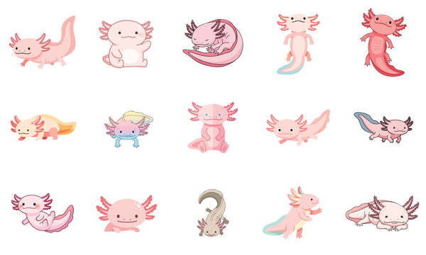Cute Axolotl Sticker Set Collection Cartoon Vector Illustration Pink Mexican Salamander Animal