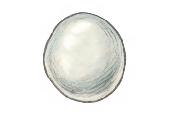 Snowball watercolor hand drawing art. Isolated falling snow sphere, cold weather winter object for holiday design