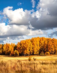 Fototapeta premium Autumnal landscape with gold trees under a blue sky filled with white and gray clouds