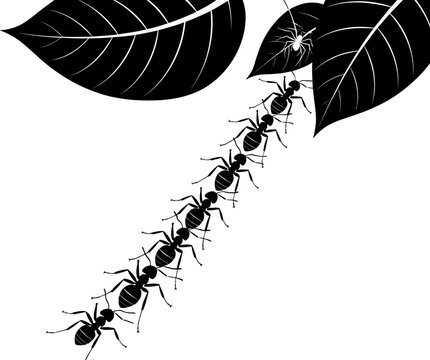 black ants marching on leaves clip art preview