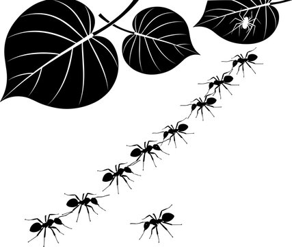 black ants marching under leaves clip art preview