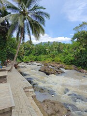 Hidden Waterfall in Green Forest