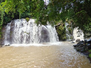 Hidden Waterfall in Green Forest