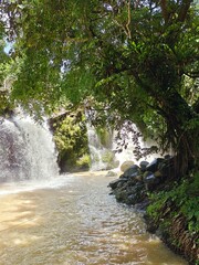 Hidden Waterfall in Green Forest