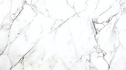 Elegant White Marble Texture with Soft Gray Veins