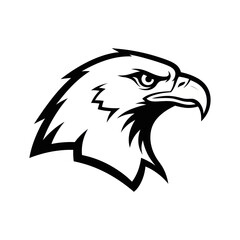 Majestic eagle head profile showcasing intense focus and sharp features in striking detail.