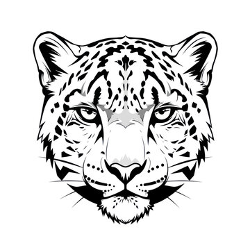 Detailed Black and White Jaguar Head Portrait with Intense Gaze.
