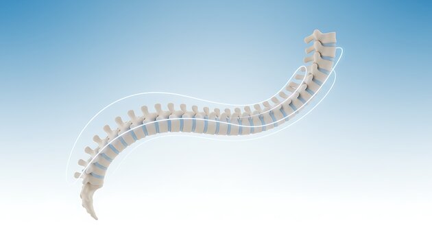 : Detailed Lumbar Spine Anatomy Model: Vertebrae, Intervertebral Disc, Structure for Medical Study, Orthopedics, Pain Management, Health & Wellness Research.