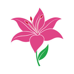 Fototapeta premium Stylized pink lily flower illustration with green stem and leaf. isolated on white background