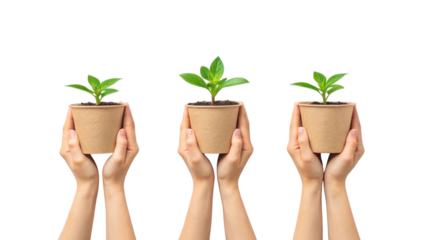 Three hands holding small green plants in eco-friendly pots isolated on white background