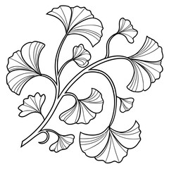 Elegant Art Nouveau Flowing Ginkgo Leaves Illustration