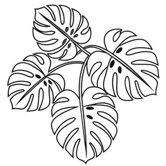 Tropical Mandala Repeat Pattern