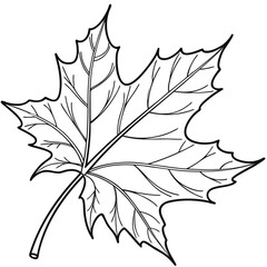 Realistic Nature Line Art
