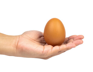 Stock photo of brown egg in hand food protein healthy breakfast on transparent background