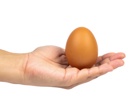 Stock photo of brown egg in hand food protein healthy breakfast on transparent background