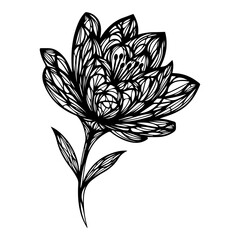 Ornate Flower Outline Intricate Floral Design in Black and White
