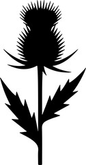 Elegant Thistle Silhouette A Symbol of Resilience and Beauty