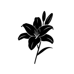 Elegant Lily Blossom Silhouette Floral Design for Creative Projects © Mithu