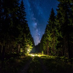 Fototapeta premium Forest path beneath starlit night, trees form a natural frame