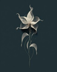 Elegant White Flower with Delicate Lines and Graceful Curves