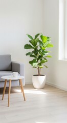 Modern minimalist living room interior design featuring a large vibrant green potted plant, creating a fresh and serene atmosphere with natural light and clean decor