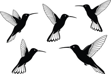 Obraz premium PrintHummingbird silhouette vector illustration showing flying birds with detailed wings, nature wildlife design, elegant black and white artwork for tropical animal concept