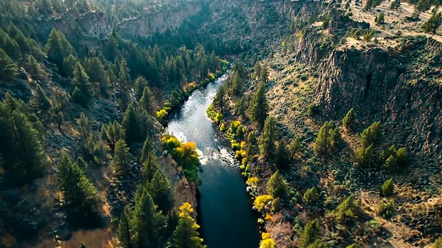 Breathtaking Aerial View of Deschutes River Canyon in Oregon with Lush Green Forest  and Majestic