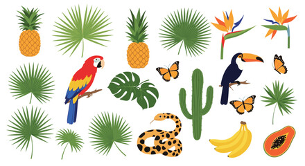 Vibrant tropical wildlife and plants for striking designs, perfect for summer promotions, exotic themes, and bold invitations with toucans and leaves