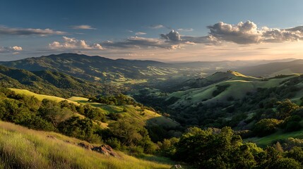 Obraz premium Rolling Green Hills Landscape with Trees and Sunset Light