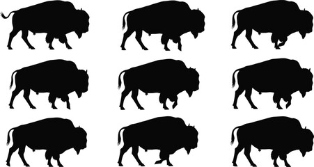 American Bison buffalo silhouette set, large North American wild mammals standing in various poses, for wildlife conservation themes.