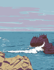 WPA style or ukiyo-e illustration of Brandt's cormorant on rocks at Restless Sea in the Pacific Coast along 17 Mile Drive, Pebble Beach, California done in retro works project administration style.