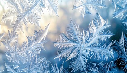 Detailed frost patterns, resembling delicate ice crystals and snowflakes, form intricate designs on a window pane.