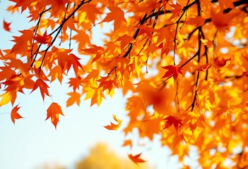Swirling autumn leaves carried by a gentle breeze, autumn,  breeze