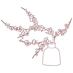 apricot flower traditional vietnamese tet new year