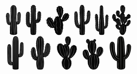 Black cactus silhouettes collection on white background desert plants.