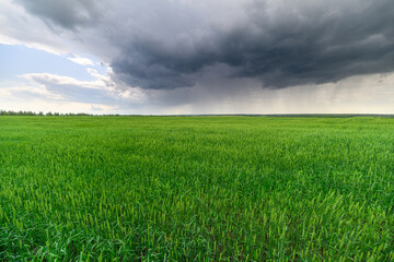 Dramatic Storm Clouds Gather Above a Lush and Expansive Green Field in the Countryside