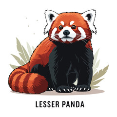 Obraz premium Lesser Panda Collection of Wild Animal Vector Illustrations