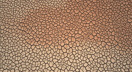 Cracked dry earth surface with intricate polygonal patterns in arid desert landscape