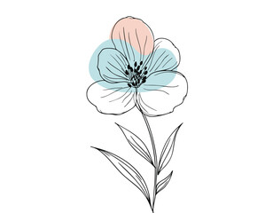 white flower isolated on white