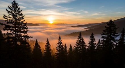 Obraz premium Silhouettes of pine trees on a mountainside above a sea of fog during a golden sunrise