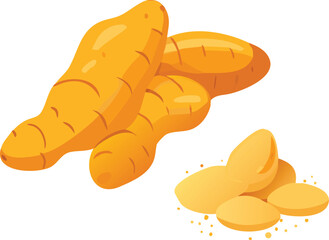 Illustration of fresh turmeric roots and slices a vibrant golden spice high quality