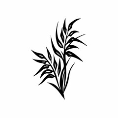 Illustration of a wheat plant isolated on