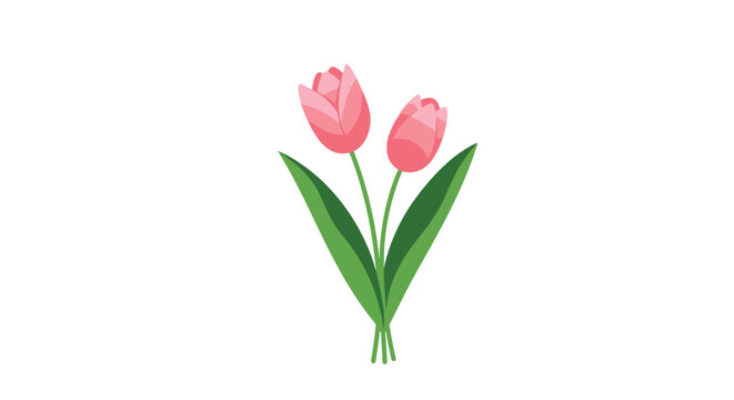 A simple and charming illustration of two pink tulip flowers with long green stems and leaves tied together as a small bouquet.