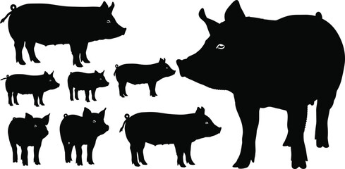 Set of black pig silhouettes and cute piglets standing, farm animal vector illustration isolated on white background for agriculture and livestock design. © MstBeauti