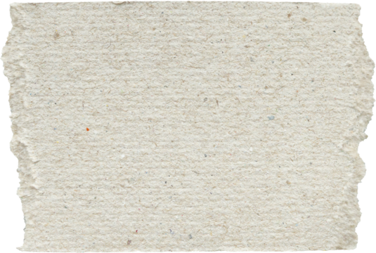 piece of white paper tear isolated on white background - Powered by Adobe