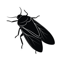 Black stylized insect illustration on a clean white background  isolated on white background